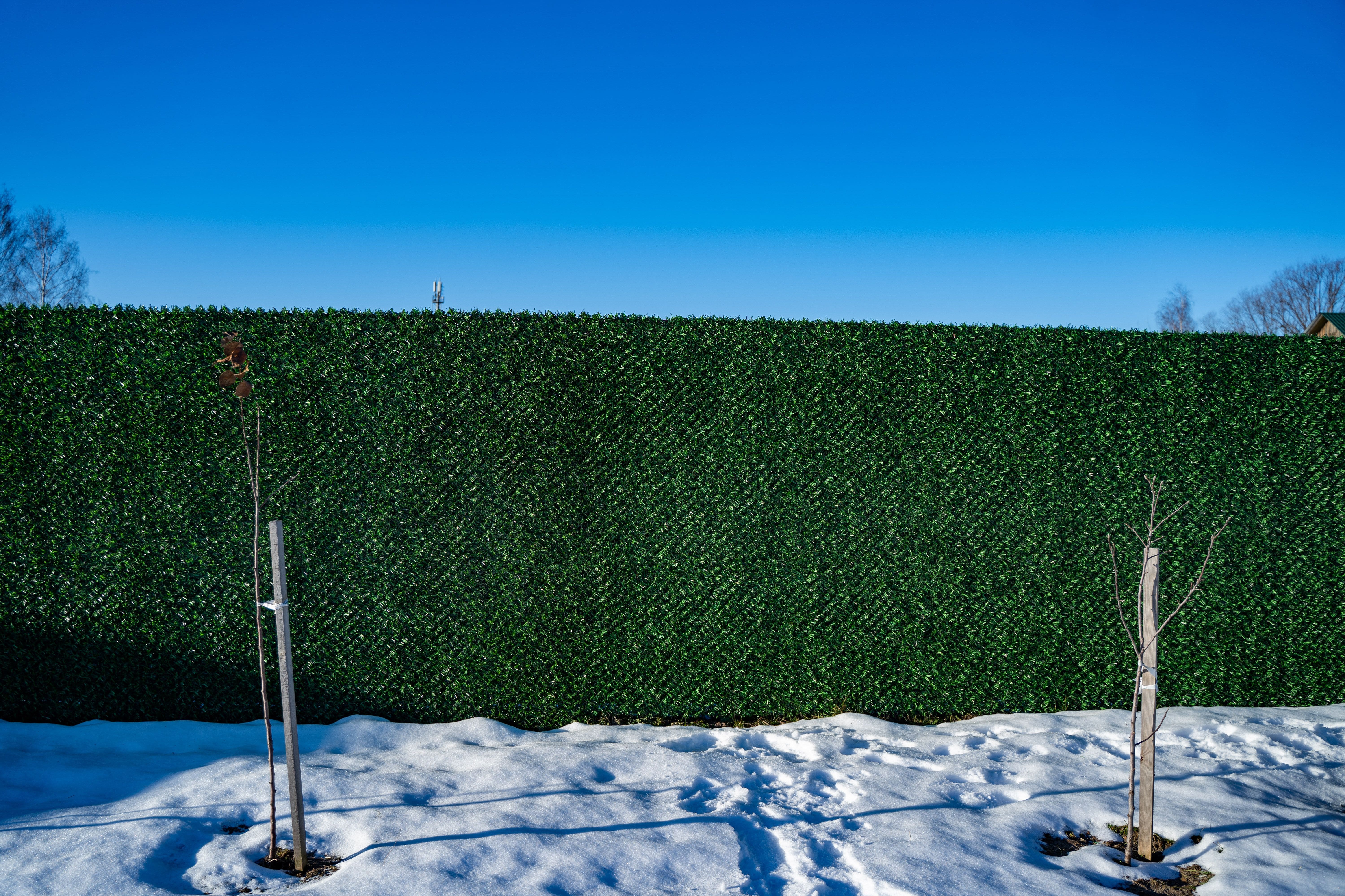Вечнозеленый забор Grass Fence рулон 2м фото 8 в Киришах